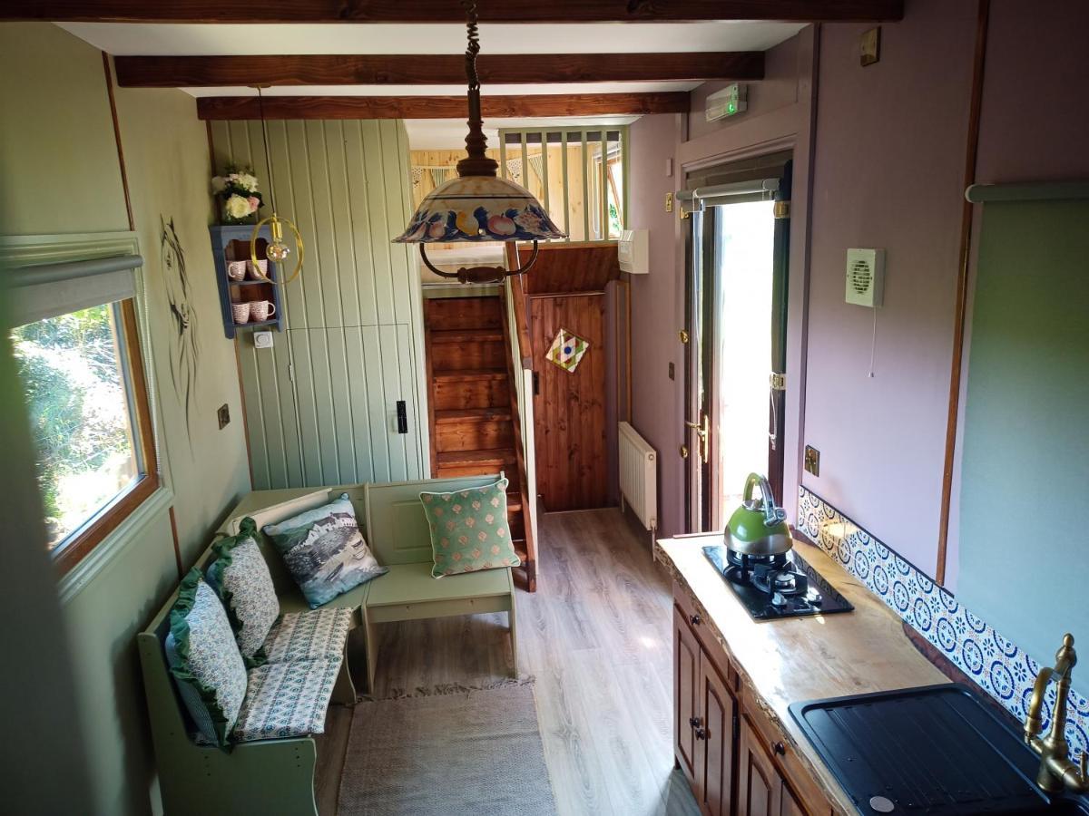Glasson Glamping Farm Athlone Extérieur photo