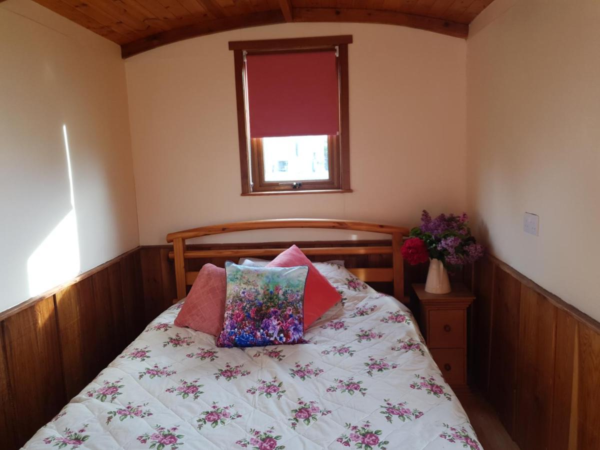 Glasson Glamping Farm Athlone Extérieur photo